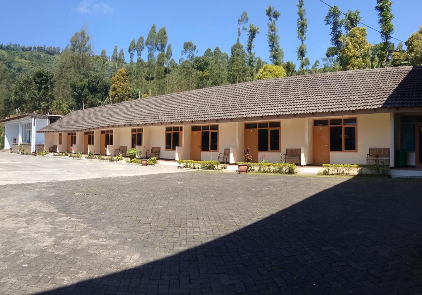 Hotel Nadia Bromo Ngoại thất bức ảnh