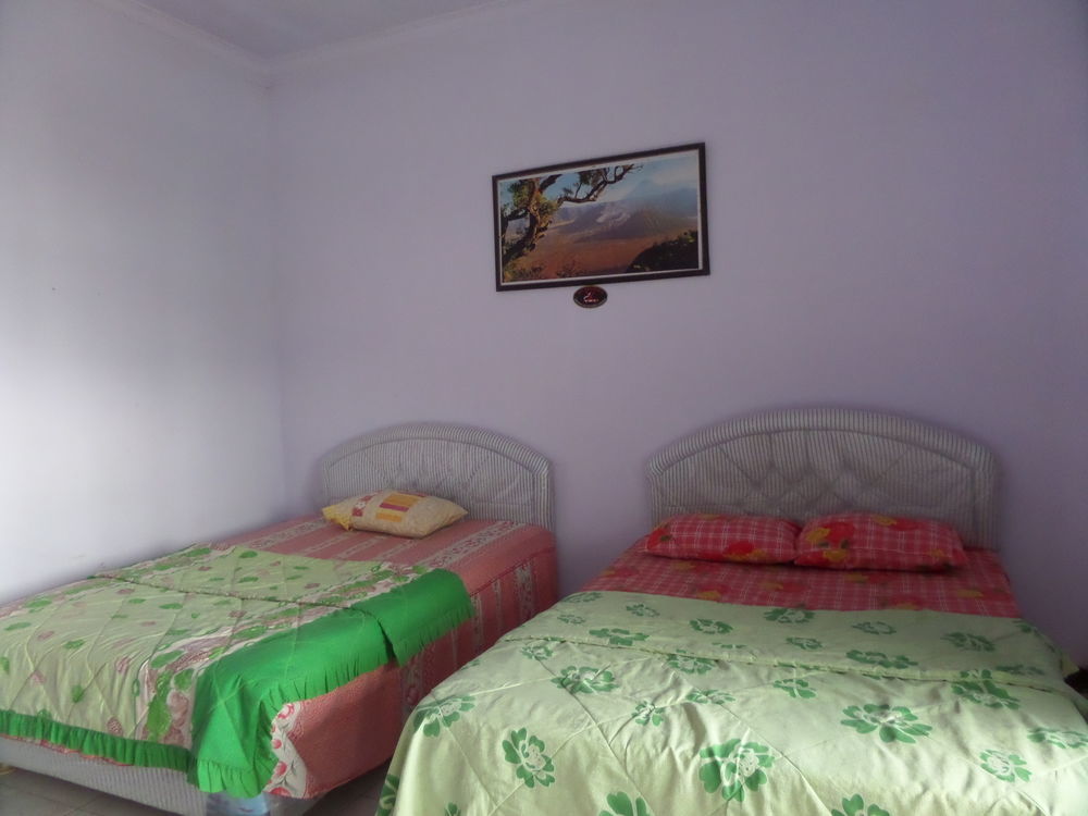 Hotel Nadia Bromo Ngoại thất bức ảnh