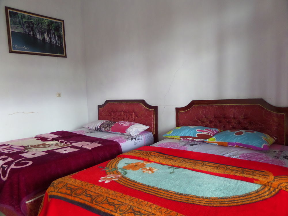 Hotel Nadia Bromo Ngoại thất bức ảnh